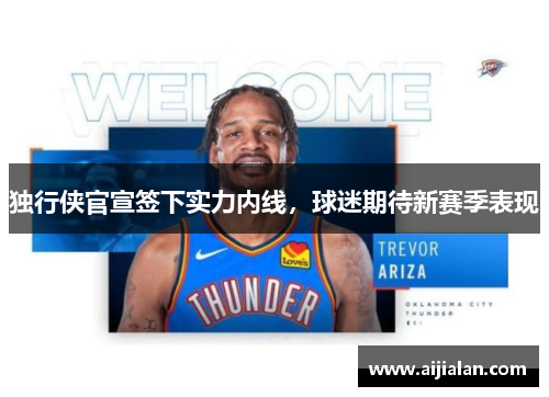 独行侠官宣签下实力内线，球迷期待新赛季表现
